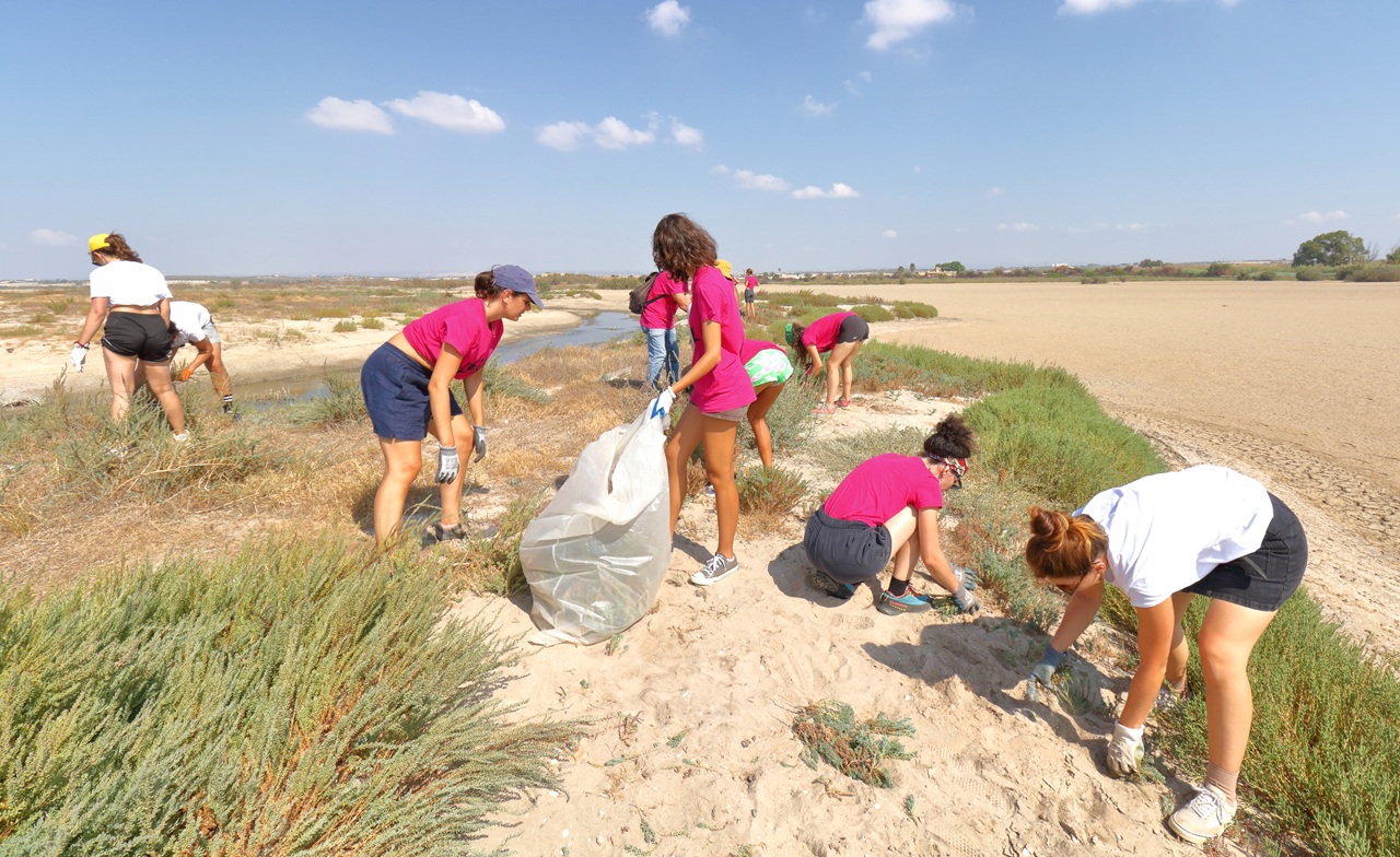Unlike this spring, the extremely dry year of 2024 in Sicily of - Bild 2